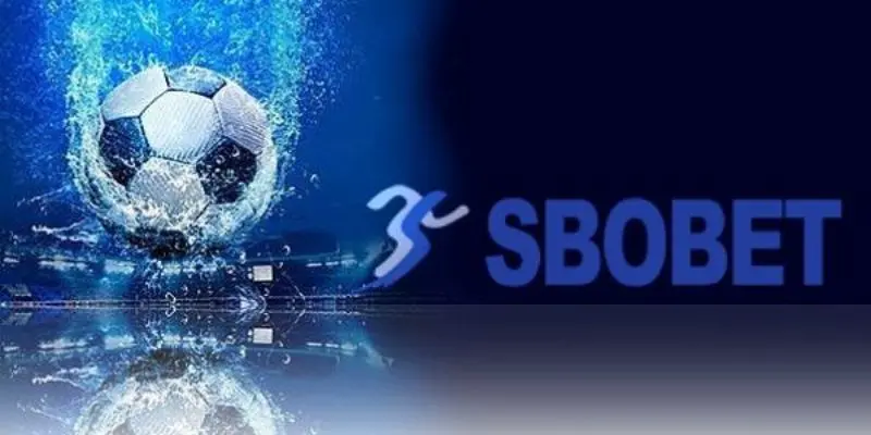 Sbobet 23win có số lượng hội viên lớn